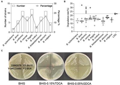 Evaluation of cholesterol transformation abilities and probiotic properties of Bacteroides dorei YGMCC0564